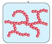 0800sxib-6705-176x150.png