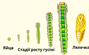 0800sxn6-8627-302x186.png