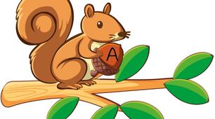 English ABC. Білочка з горішками