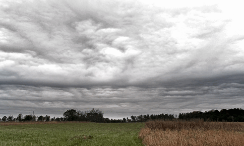 0800t63d-4820-484x290.png