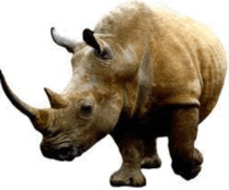 0800t6ks-d289-209x174.png
