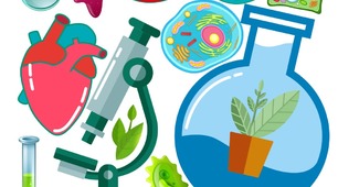 Екстернат Підсумкова контрольна робота з біології 9 клас