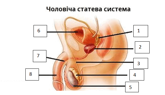 0800t7rh-0779-547x315.png