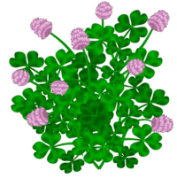 0800t85o-c747-200x201.png