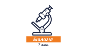 Контрольна робота ІІ семестр 7 клас НУШ (за групами результатів)