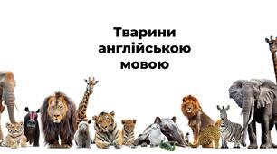 Тварини