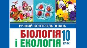10 клас. Річна контрольна робота