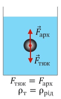 0800tgr2-9784-365x591.png