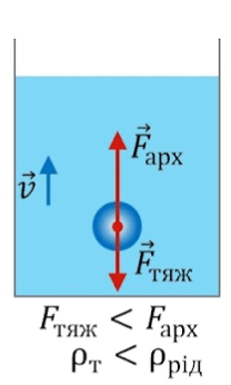 0800tgup-f92f-368x613.png