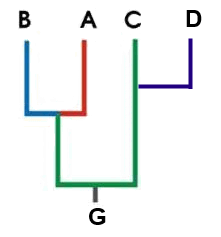 0800tgyh-bd01-221x237.png