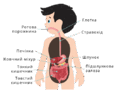 0800tilx-c544-116x93.png