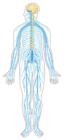0800tipg-f29c-64x140.png