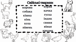 Зошит на вивчення лексичних тем
