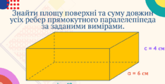 0800tkoi-0c6e-234x120.png