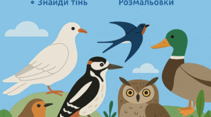Логопедична гра «Птахи»