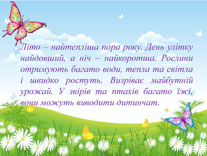 0800tnvm-905c-697x525.png