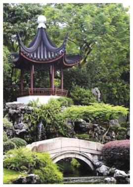 0800tqcp-c41c-269x377.jpg