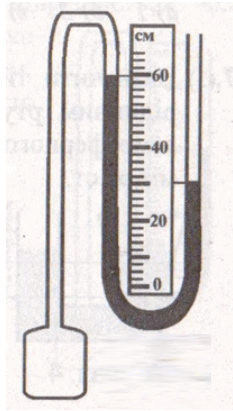 0800tr1k-ac4d-233x411.png