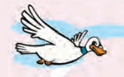 0800ttc2-248e-140x88.png