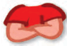 0800ttg1-34f6-95x65.png