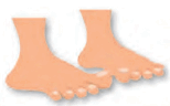 0800ttgw-3ccf-154x96.png