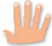 0800ttgx-7d62-104x92.png
