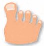 0800ttjv-6271-88x91.png