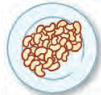 0800tuxy-0f12-101x95.png