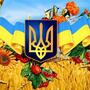 https://fs08.vseosvita.ua/0800tuyz-e39a-90x90.jpg