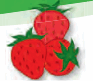 0800tuza-1646-93x81.png
