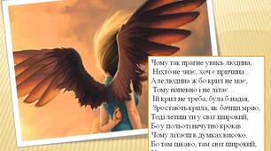 (Копія) "Чайка Джонатан Лівінгстон" Р.Бах