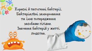 Корисні й патогенні бактерії. Бактеріальні захворювання та їхнє попередження засобами гігієни. Значення бактерій у житті людства.