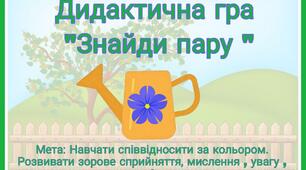 Дидактична гра  "Знайди пару "