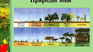 Природні зони