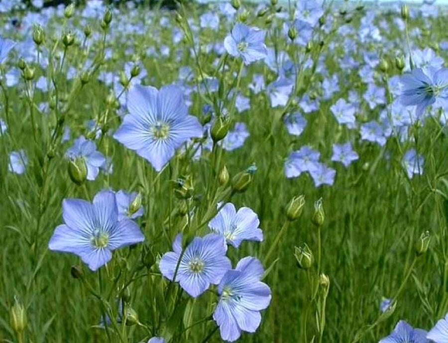 0800u8bu-a7db-900x689.jpg