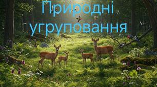 Діагностувальна робота. Природні угруповання