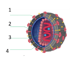0800ukeh-18bc-233x192.png