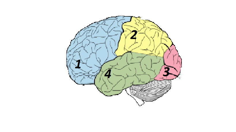 0800unbp-f333-819x460.png