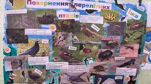 Проєкт: Перелітні птахи