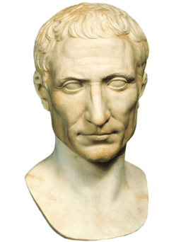 0800uohy-8a58-256x342.png