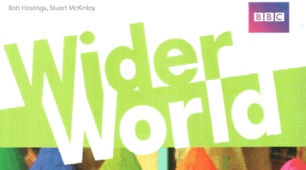 Wider World 2 Unit 6 Grammar Check (Countable and uncountable nouns/Quantifiers)