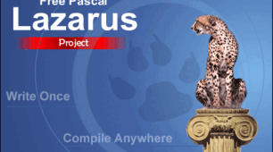 Цикл з передумовою. Lazarus