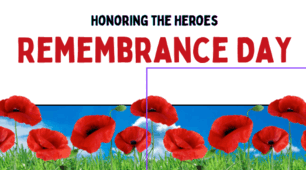 Remembrance Day – Honouring the Past, Shaping the Future