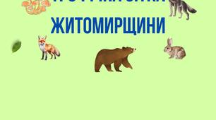 Моделювання трофічної сітки лісу Житомирщини