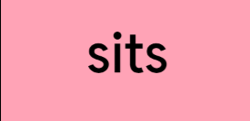 0800v19n-ee24-275x134.png