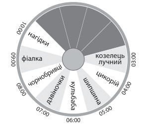 0800v1j0-2bfa-284x257.png