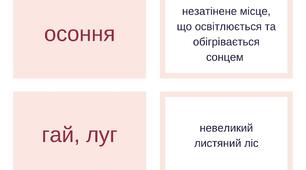 Флешкартки "Власне українські слова" (60 шт) Лексикологія Українська мова
