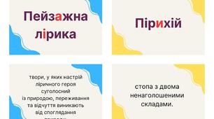 Українська література 8 Теорія літератури Флешкартки (50 шт)