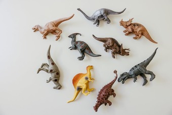 Безкоштовне стокове фото на тему «saurian, веселий, вимерлий» стокове фото