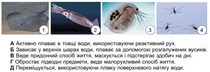 0800vaa0-e6a4-737x256.png